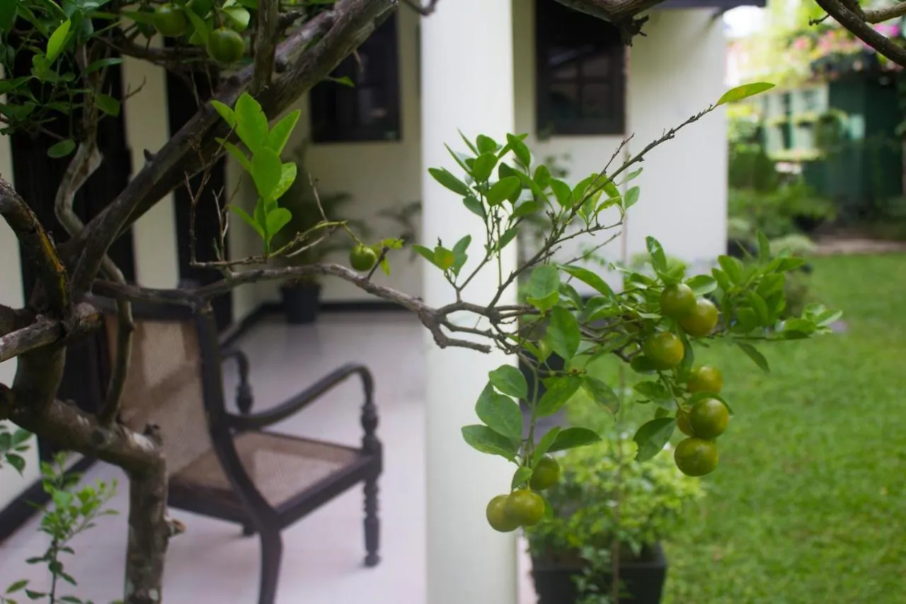 Homestay Airport Gateway Residence Negombo
